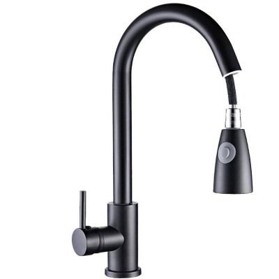 304 Ss Black Kitchen Faucet With Pull-Out Spout